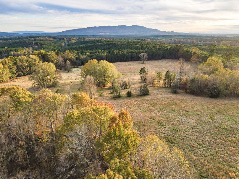 6E2CBB9C-363A-485C-AB8D-491DA57C81DD