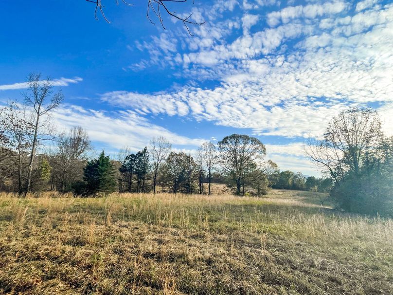 CDC628B9-BB6C-4343-A6AF-DBB31FFCB717