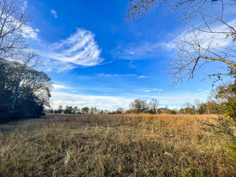 B8F04CD8-824F-4E69-BD37-C4D20BFC73D7