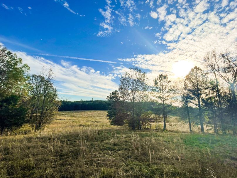 F9CB6D8D-DA55-4D03-A6C3-56803EA9F8C7