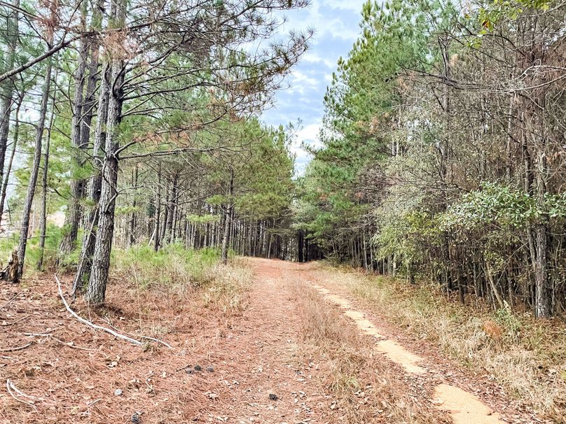 31544133-41F3-4E39-87BC-B36B1D21334E