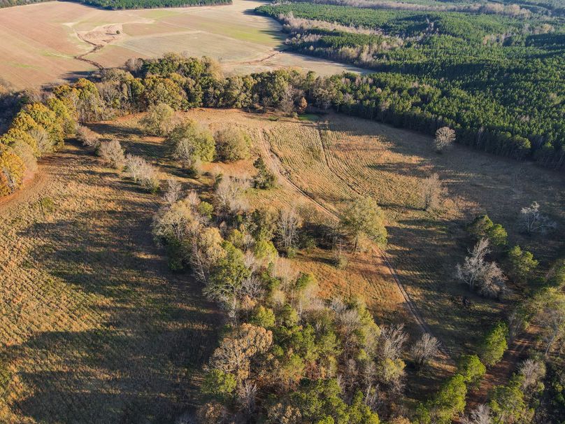 B54AEA6A-7AAB-4680-B55B-C1624DF1D21F