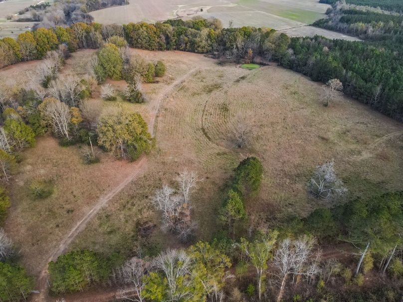 1C31253C-77F2-4FDE-A4E1-D7CA904F8CD5