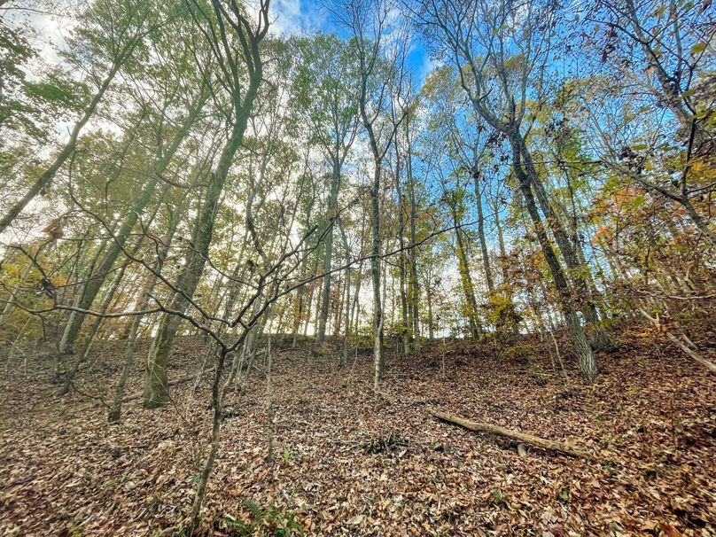 0647BE21-813D-4C18-9175-C31D4D420CD0