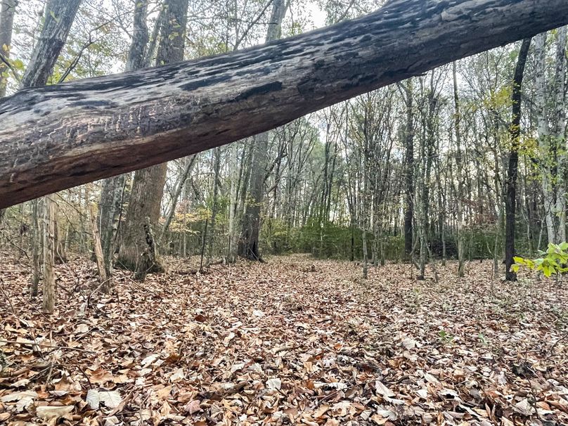 0DE0471D-7FC3-4E65-AF5F-12EF8702636B