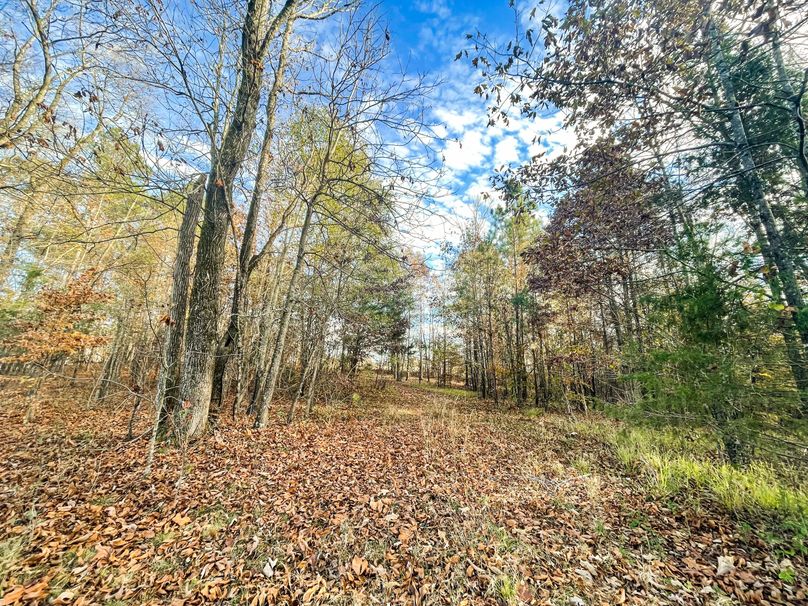 13409AFD-810A-488C-B00F-6578075B51F4