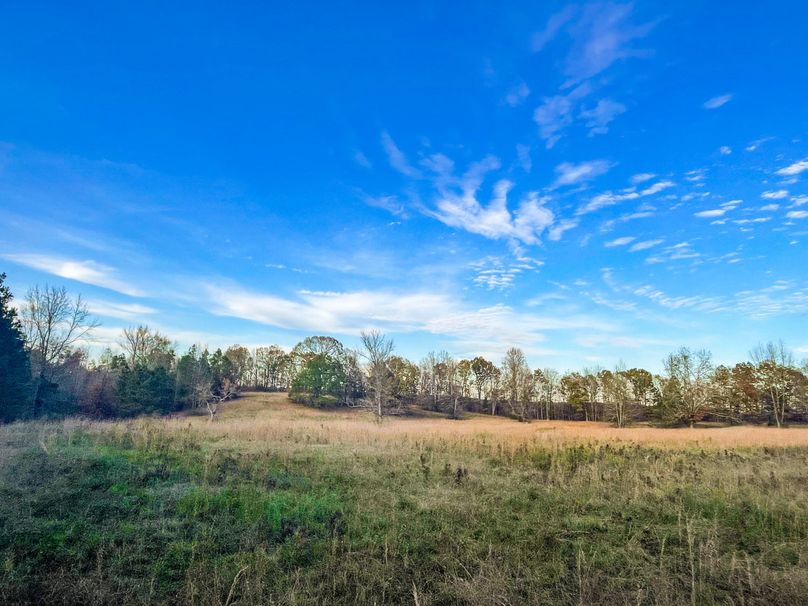 529C38DE-2B04-43D9-AB21-2243CF7DC17F