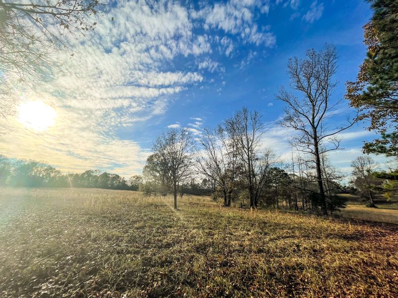 51EA44AA-76BF-410A-B47E-15CABE887B41