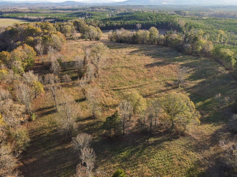 8B7252B8-1F96-402D-A475-AC603BE3B784