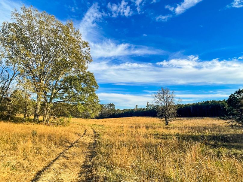 53AEFA86-F94C-409B-8EC0-D09DFBB14709