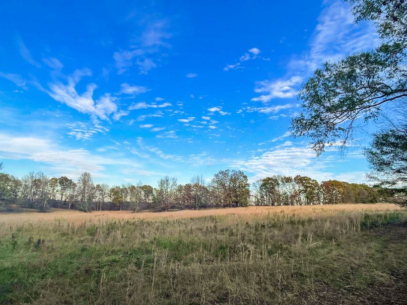 AFB8D6AE-EC43-4115-B95C-531B0C1DE376