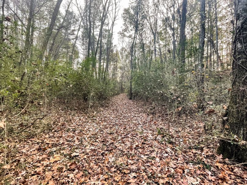 4A3CBAED-433D-4E60-8AB1-C67E28A1F808