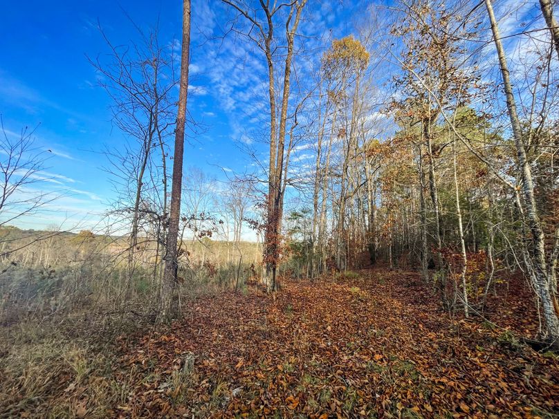 B549B99C-69B8-4BCF-8B88-43C963056FBA