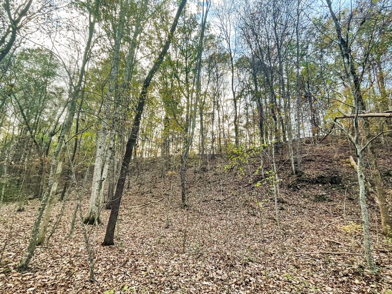 FC63C25F-5740-4A33-8B84-5AE7E03DA0DF