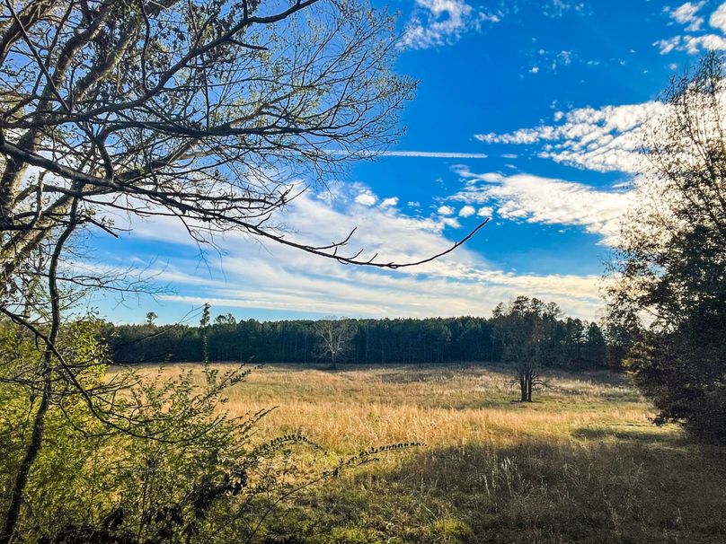 48DC83E1-2831-473E-8020-23E6DA76A6E0