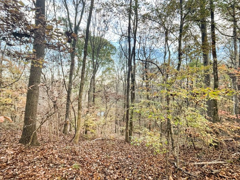 0F7A702C-A9C6-4659-9E49-D4172D887F03