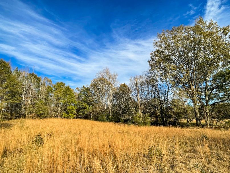 86461CAB-2D90-4F0A-919B-600B68ECACA0