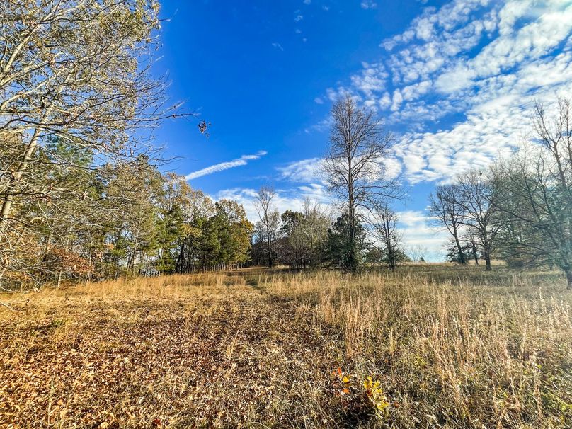 054DC323-F062-442D-B477-195494D3CDD3