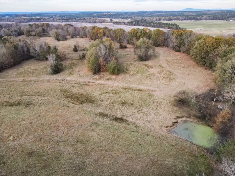 3AA156A5-1D4B-46BC-B9FA-4F754A64A0DA