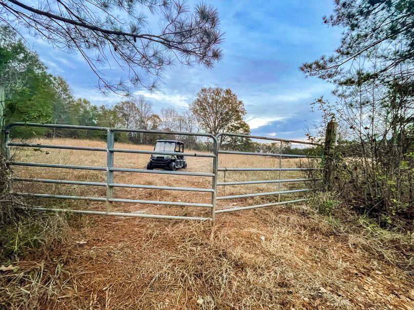 65B0299C-B87E-4554-8F97-124C585BC60E