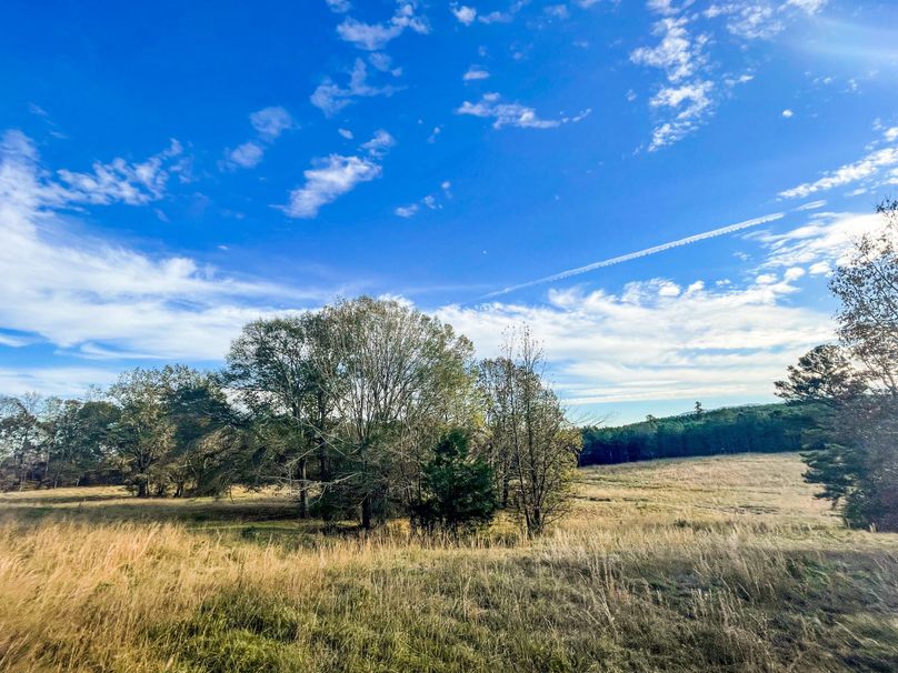 39CE688C-2AC6-43A9-A12F-2BC0746DE94E