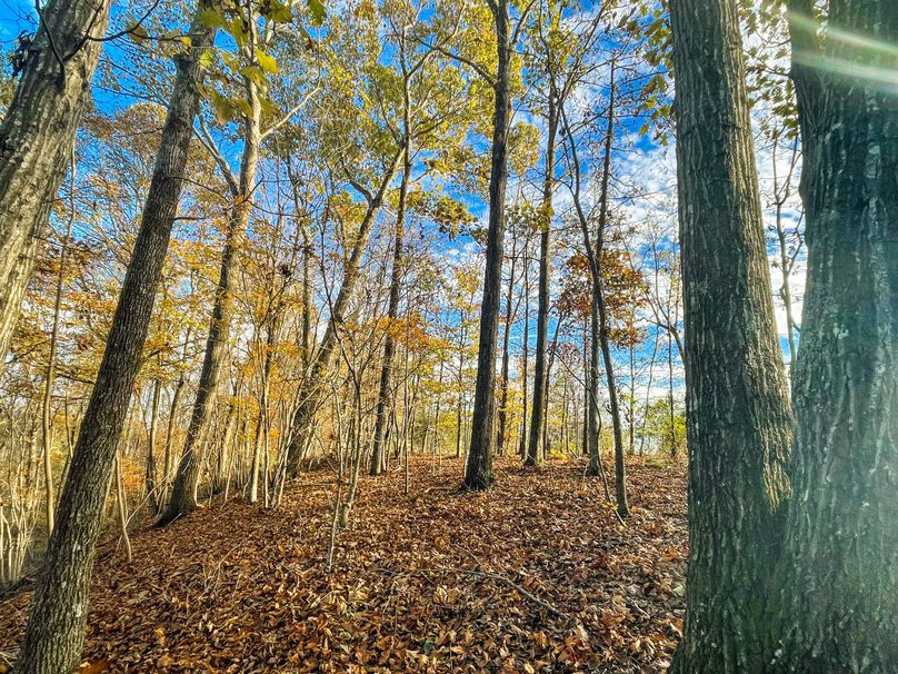 BF2E1274-ACAA-42D6-995A-B5A145E51463