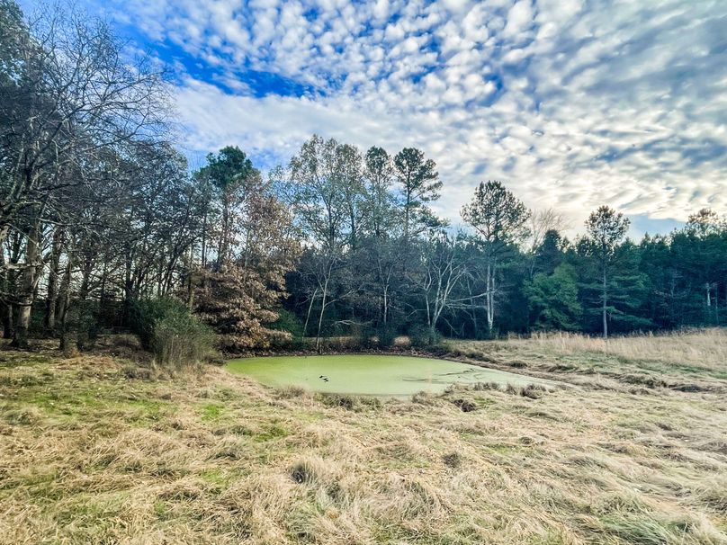 87461A8C-738D-4BBA-B02A-13916CC0D054