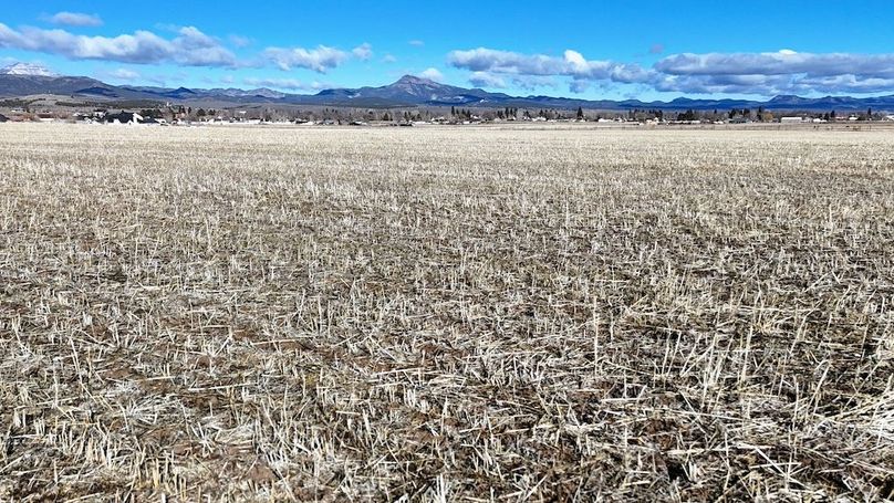 Panguitch City Farm20