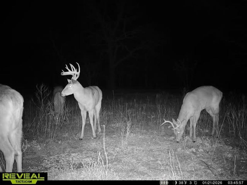 860322064077966-70-3-01212026034614-V-W1012825