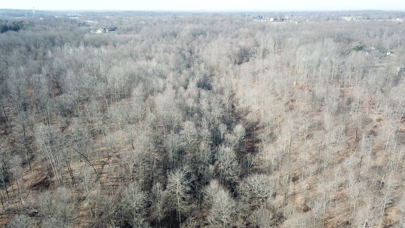 org_4fc18403c6d50a50_1702659618000