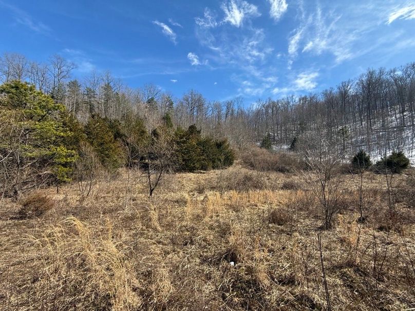 018 the open field area in the east part of the property near the ridge