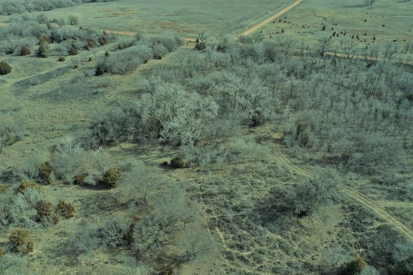 DJI_0980
