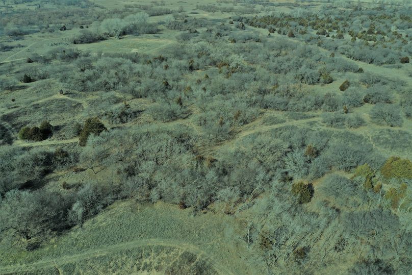 DJI_0977