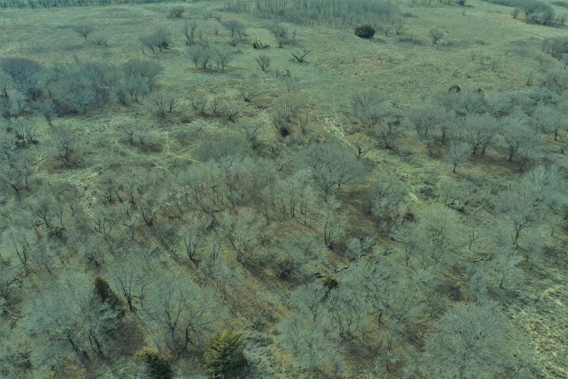 DJI_0986