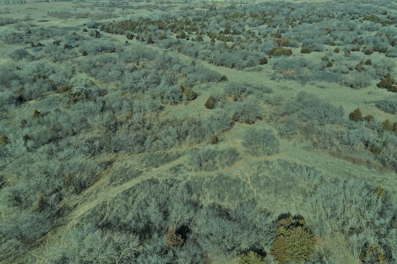 DJI_0979