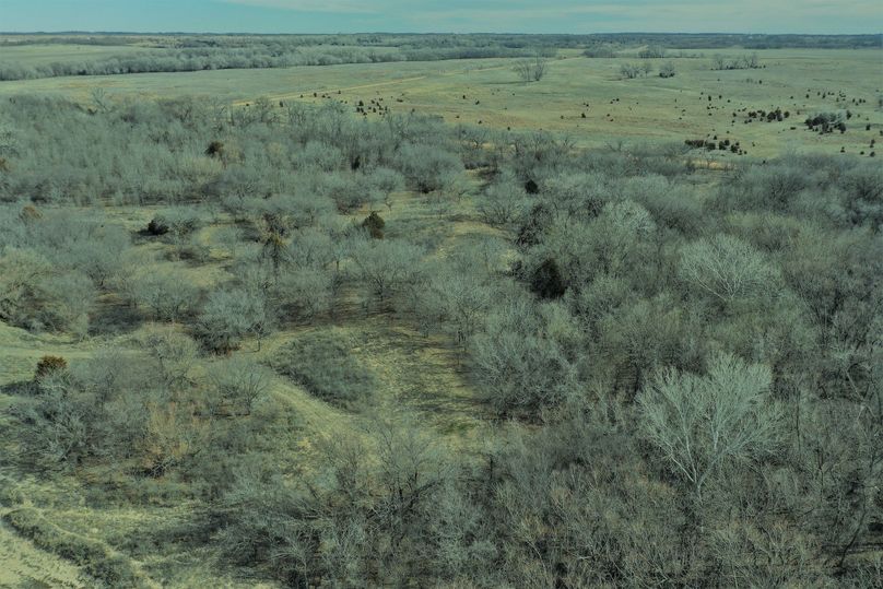 DJI_0970
