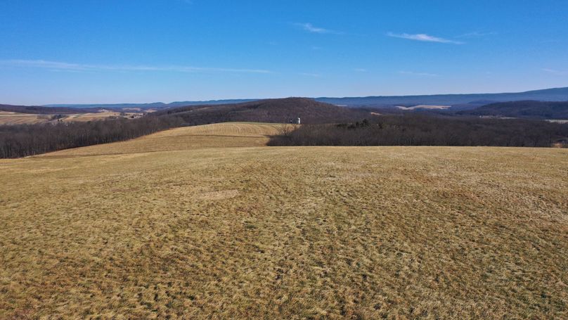 DJI_0360