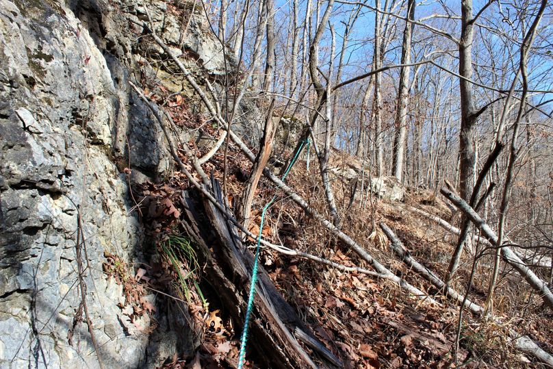 034 the green rope lead that helps navigate to the opening of the cave
