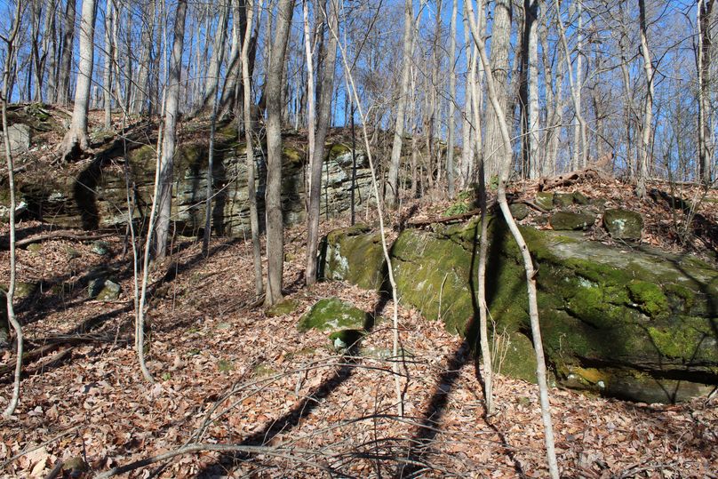 006 some very old moss covered limestone boulders laying about in the north part of the property