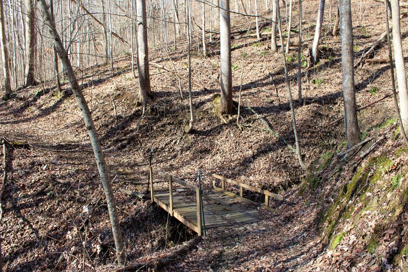 008 the trails even have bridges to lead you about the property