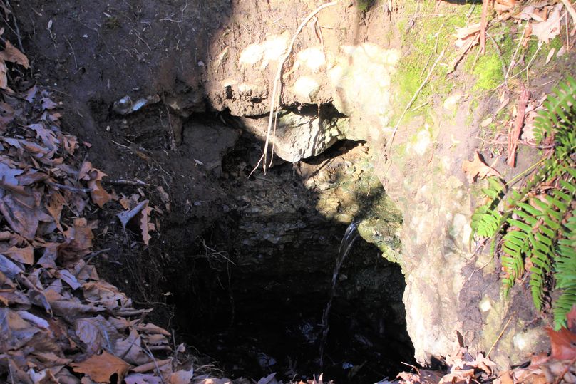 040 there it is, the natural spring with old spring box just behind the old homestead