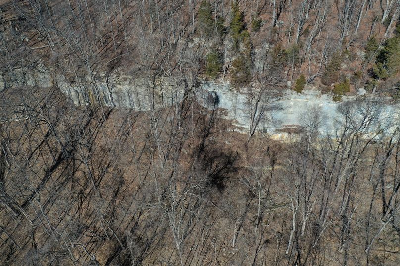 005 limestone rock bluff in the middle portion of the property