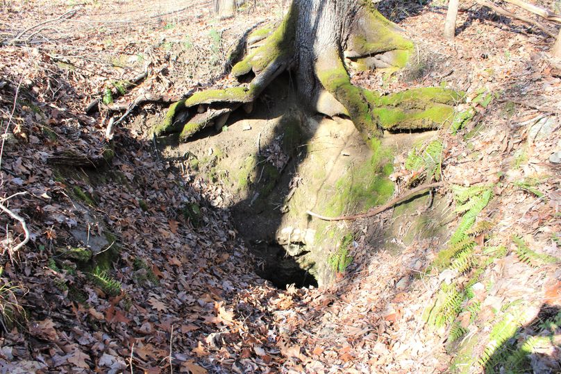 013 there is something in that hole, read on to find out what