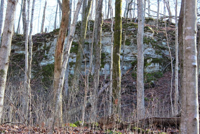 018 the north facing limestone bluffs along the south boundary