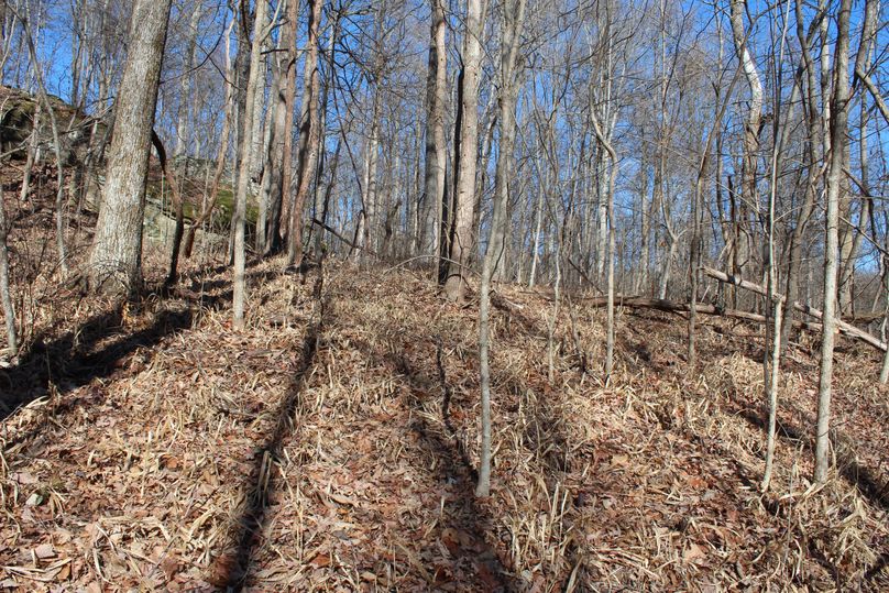 009 gentle terrain in the upper elevations make exploring a pleasure