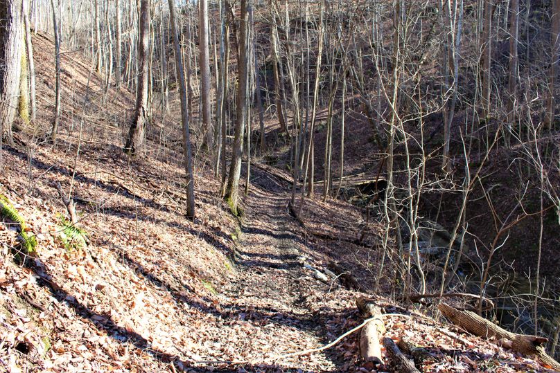 015 one of the 4 wheeler friendly trails in the bottom of the valley, complete with a bridge