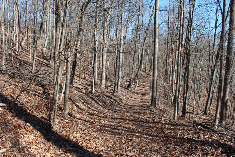 002 south facing hardwood slope with nice trail system