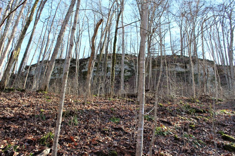 037 some of the north facing limestone bluffs along the south boundary