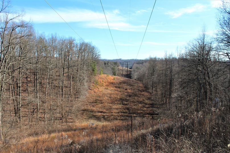 035 the transmission lines along the eastern boundary of the property