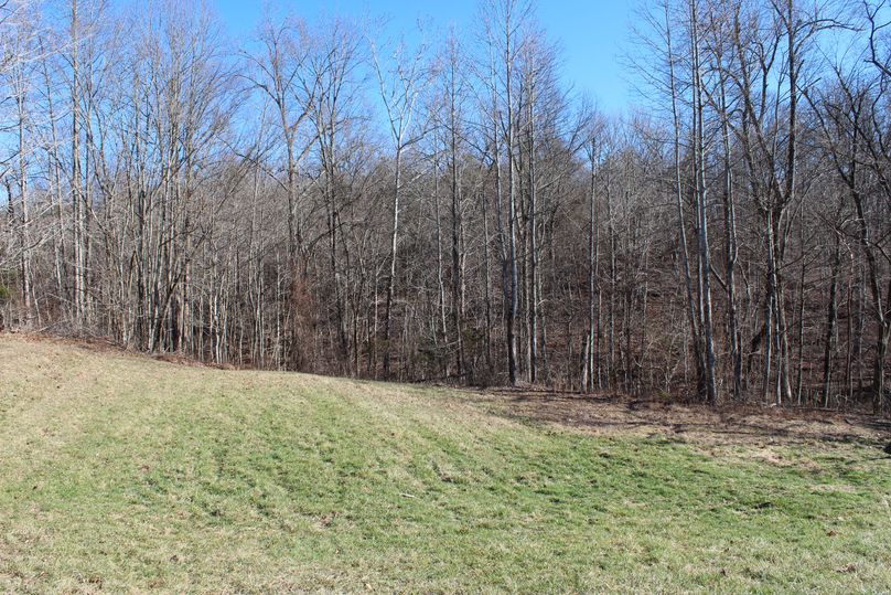 036 the southern most area of the old homestead